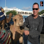 Talbi one sur yala.fm